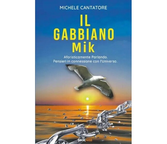 Il Gabbiano Mik di Michele Cantatore, 2023, Bookness