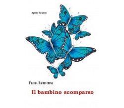 Il bambino scomparso	 di Flavia Rampichini,  2018,  Apollo Edizioni