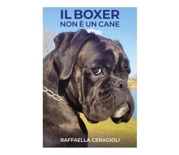 Il boxer non è un cane di Raffaella Ceragioli, 2023, Youcanprint