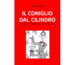 Il coniglio dal cilindro. Viaggio nei quesiti dell’Esame di Stato di Giulio Caia