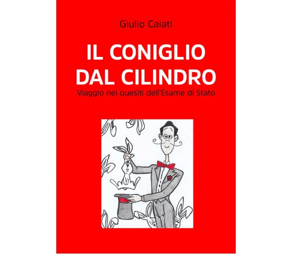 Il coniglio dal cilindro. Viaggio nei quesiti dell’Esame di Stato di Giulio Caia