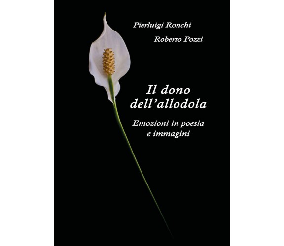 Il dono dell’allodola di Pierluigi Ronchi,  2017,  Youcanprint