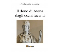 Il dono di Atena dagli occhi lucenti	 di Duccio,  2017,  Youcanprint