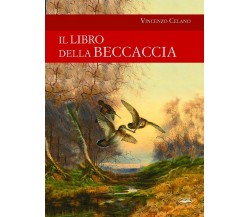 Il libro della beccaccia - Vincenzo Celano - idea libri, 2018