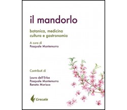 Il mandorlo - Montemurro - Stilo, 2018