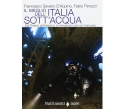 Il meglio dell'Italia sott'acqua -Francesco Saverio D'Aquino, Fabio Perozzi-2017