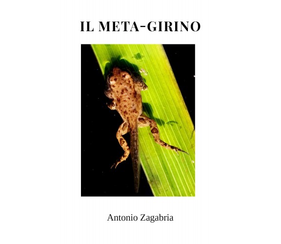 Il meta-girino di Antonio Zagabria,  2022,  Youcanprint