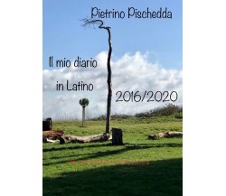 Il mio diario in latino	 di Pietrino Pischedda,  2021,  Youcanprint