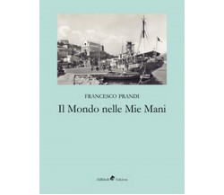 Il mondo nelle mie mani	 di Prandi Francesco,  2019,  Ali Ribelli Edizioni