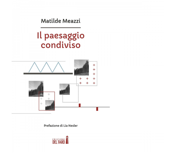 Il paesaggio condiviso di Matilde Meazzi - Edizioni del Faro, 2017