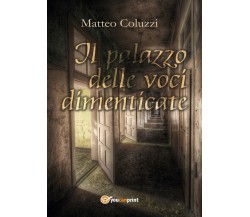 Il palazzo delle voci dimenticate	 di Matteo Coluzzi,  2017,  Youcanprint