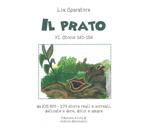 Il prato XI. Storie 141-154, da KM 800 - 279 storie reali e surreali, delicate e