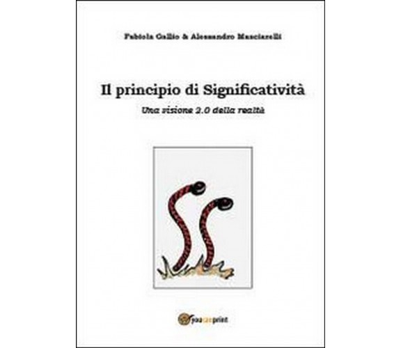 Il principio di significatività, Fabiola Gallio, Alessandro Masciarelli (2013)