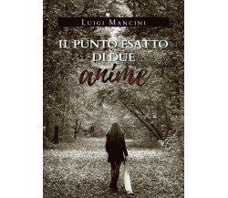 Il punto esatto di due anime	 di Luigi Mancini,  2019,  Youcanprint