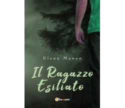 Il ragazzo esiliato	 di Elena Maneo,  2018,  Youcanprint