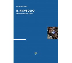 Il risveglio	 di Domenico Barra,  2016,  Youcanprint