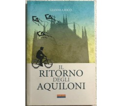 Il ritorno degli aquiloni di Gianni Amico,  2014,  Paruzzo Editore