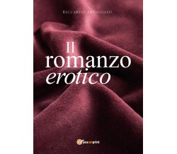 Il romanzo erotico	 di Riccardo Intruglio,  2017,  Youcanprint