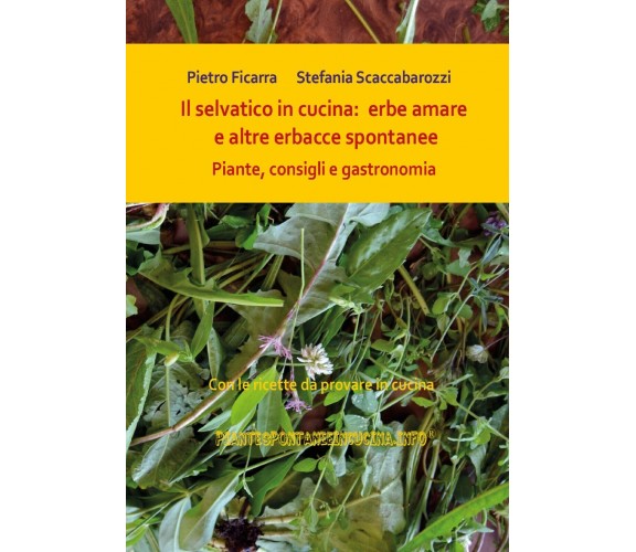 Il selvatico in cucina: erbe amare e altre erbacce spontanee. Piante, consigli e