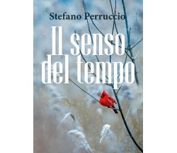 Il senso del tempo	 di Stefano Perruccio,  2019,  Youcanprint