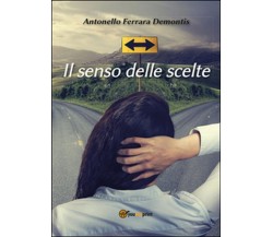 Il senso delle scelte di Antonello Ferrara Demontis