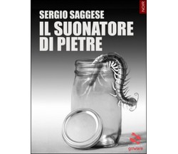 Il suonatore di pietre	 di Sergio Saggese,  2016,  Goware