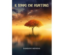 Il tempo che aspettavo di Damiano Messina,  2021,  Youcanprint