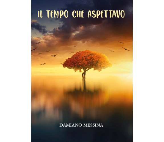 Il tempo che aspettavo di Damiano Messina,  2021,  Youcanprint