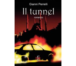 Il tunnel di Gianni Perrelli, 2012, Di Renzo Editore