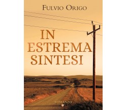 In estrema sintesi di Fulvio Origo,  2021,  Youcanprint