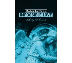 Infinity. Impossible love ( volume 1)	 di Roberta Canu,  2020,  Youcanprint