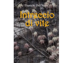 Intreccio di vite	 di Daniele Del Nero,  2017,  Youcanprint