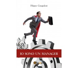 Io sono un Manager	 di Filippo Cangialosi,  2017,  Youcanprint