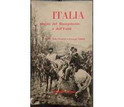 Italia-Pagine del risorgimento e dell’Unità -Cecchini,Gabelli, 1960,Cappelli - S