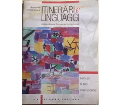 Itinerari e linguaggi, modulo di tipo professionale di Aa.vv., 2000, Palumbo Edi