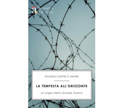 La Tempesta all’Orizzonte: Le origini della Grande Guerra di Eduardo Dimitri D’A