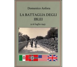 La battaglia degli Iblei. 9-16 luglio 1943, Domenico Anfora,  2016,  Youcanprint