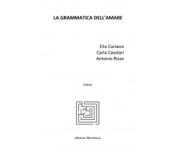 La grammatica dell’amare di Elio Coriano, Carla Casolari, Antonio Rizzo,  2020, 