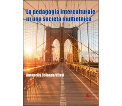 La pedagogia interculturale nella nuova società multietnica (Viasi, 2016)