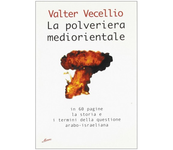 La polveriera mediorientale. In 60 pagine, la storia e i termini della questione