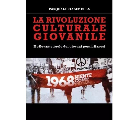 La rivoluzione culturale giovanile - Il rilevante ruolo dei giovani pomiglianesi