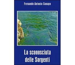 La sconosciuta delle sorgenti	 di Fernando A. Sanapo,  2010,  Youcanprint