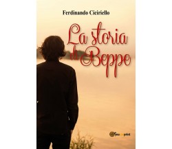 La storia di Beppe	 di Ferdinando Ciciriello,  2017,  Youcanprint