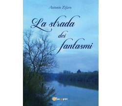 La strada dei fantasmi	 di Antonio Zifaro,  2016,  Youcanprint