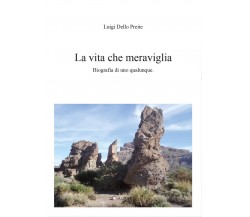 La vita. Che meraviglia	 di Luigi Dello Preite,  2014,  Youcanprint