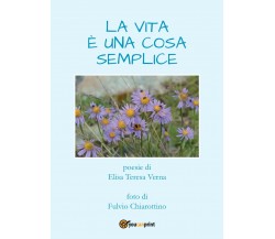 La vita è una cosa semplice di Elisa Teresa Verna,  2017,  Youcanprint