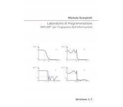 Laboratorio Di Programmazione MATLAB® per l’Ingegnere Dell’Informazione di Miche