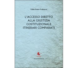 L’accesso diretto alla giustizia costituzionale. Itinerari comparati