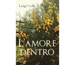 L’amore dentro	 di Luigi Colla,  2019,  Youcanprint