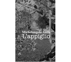 L’appiglio di Michelangelo Anile,  2021,  Youcanprint